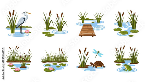 Serene wetland scene with heron, turtle, frog, and lush vegetation