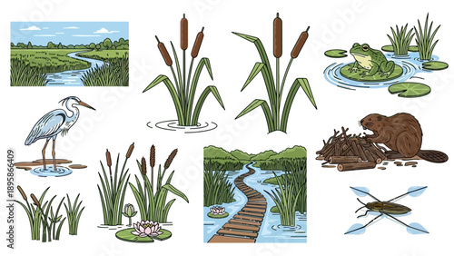 Charming wetland scene with various animals and plants