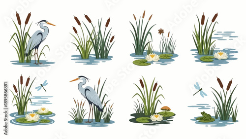 Illustrations of herons and plants in a pond ecosystem
