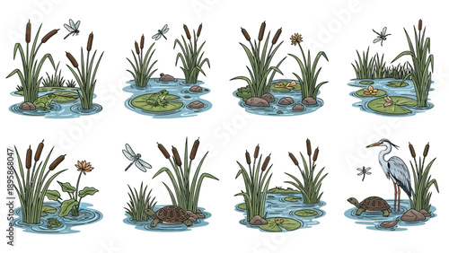 Vector graphic illustration of pond life with animals and plants