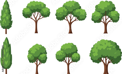Large Collection of Different Green Deciduous and Cypress Tree Illustrations Isolated on White Background for Landscape Design Nature Projects Ecology Education and Outdoor Environment Assets