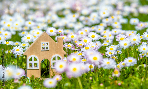 The symbol of the house stands among white daisies
