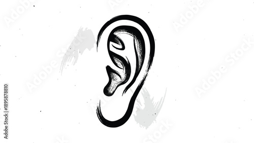 Black and white of a left human ear