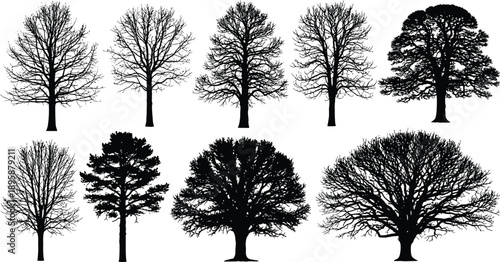 Black silhouettes of various trees on white background