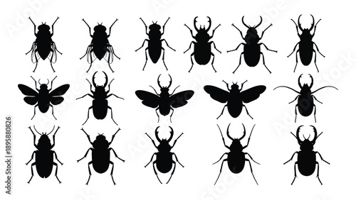 Collection of various insect silhouettes Vector