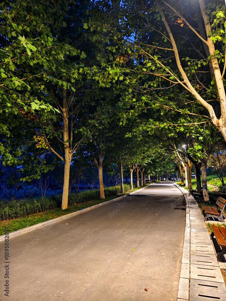 Fototapeta premium Night scene with illumination at Xiliu Lake Park Zhengzhou