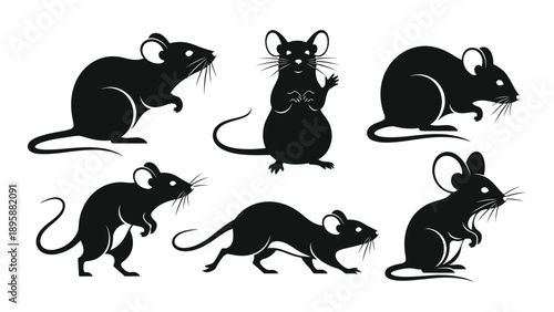 Six black rats in various poses Vector
