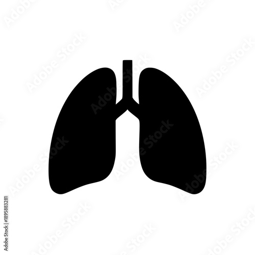 lungs vector illustration 