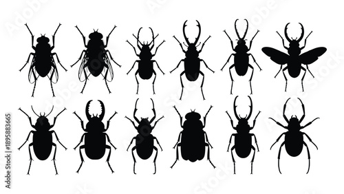 Collection of insect silhouettes Vector