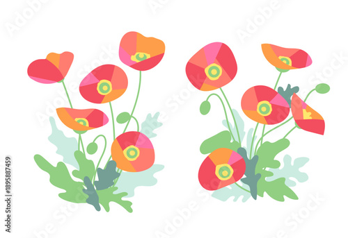 開花した赤いポピーの花