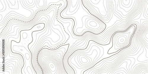Topographic contour map. Vector cartography illustration. Topography and geography map grid abstract backdrop.Modern design with White background with topographic wavy pattern design.