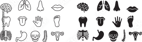 Minimal Medical Organs Line Icon Symbols for Human Body, Health, and Anatomy Design