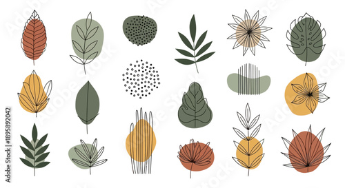 Abstract botanical illustrations, nature design elements