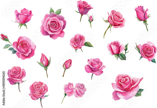 seamless pattern with pink roses