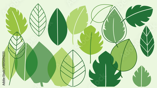A collection of stylized green leaves in various shapes and sizes, showcasing nature's diverse botanical beauty