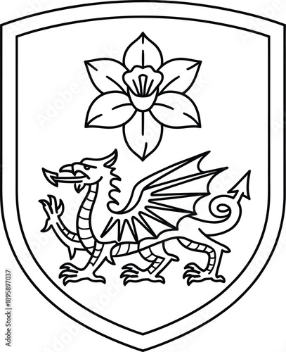 Dragon and daffodil crest line art illustration for Wales national symbol on white background