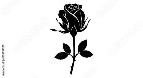 Striking black and white vector silhouette illustration of a single large daisy flower head with a curving stem isolated against a clean white background design element