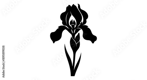Striking black silhouette vector graphic illustrating a fully bloomed poppy flower alongside its distinct seed pod creation for artistic uses.