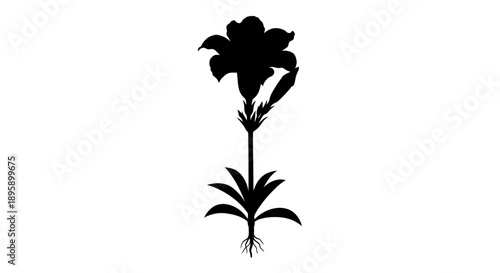 Abstract black and white circular design featuring a swirling vortex pattern created by seven overlapping curved petal shapes radiating from a central point generating motion graphics