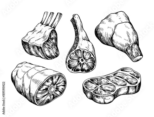 Hand Drawn Assortment of Raw Meat Cuts White Background beef lamb