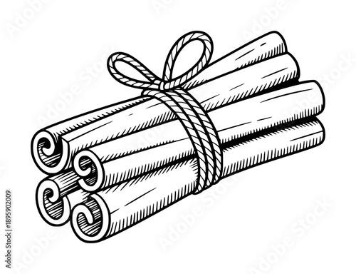Hand Drawn Bundle of Cinnamon Sticks Tied with Rope spice aromatic