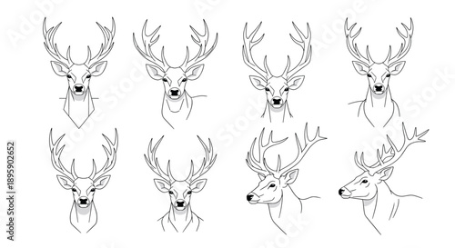 Set of eight fine line drawings and sketches of deer heads with large antlers from different perspectives including front and side profile views.