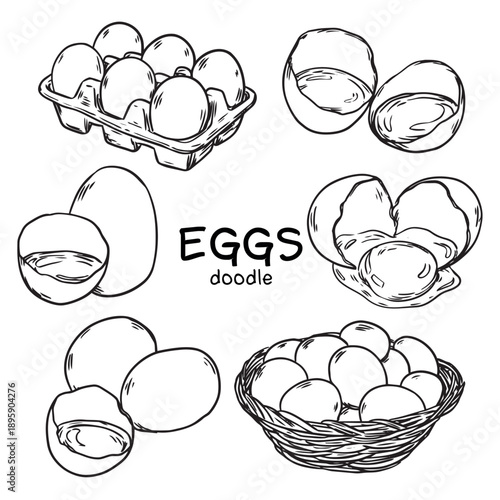 Set of hand drawn Eggs, Egg carton, Egg yolk and Egg basket doodle illustration