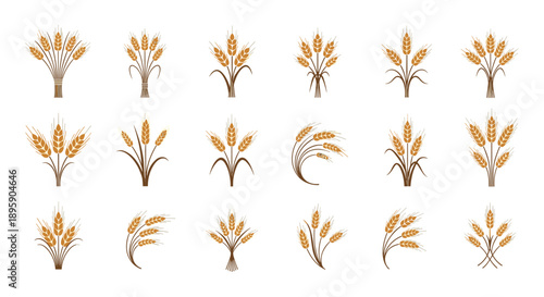 Large collection of diverse wheat stalk and bunch icons representing agriculture, harvest, and natural food ingredients.