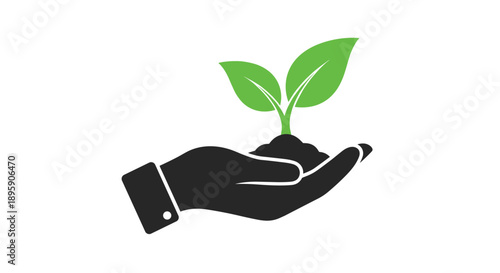 Hand gently cradling small green seedling sprout growing in handful of soil against white background for environmental conservation concept.