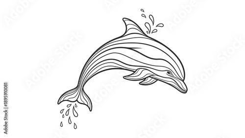 Dolphin sketch: A detailed illustration of a leaping dolphin, captured in a dynamic pose with water droplets. This art showcases the grace and beauty of marine life.