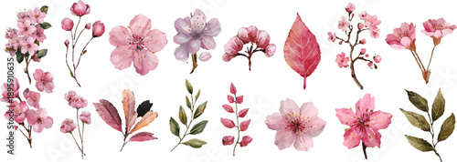 pink flowers on a white background