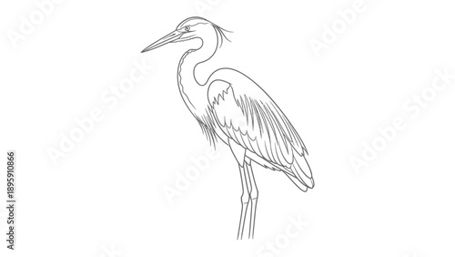 Heron Sketch: A simple monochrome sketch of a heron, perfect for illustrations, designs, and artistic applications.