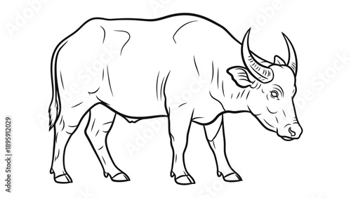 Water Buffalo Silhouette: A stark black and white depiction of a powerful water buffalo, highlighting its robust physique, imposing horns, and the unique textures of its hide.