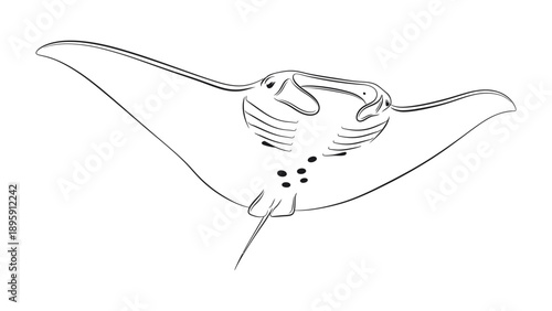 Manta Ray sketch: a meticulously crafted line drawing of a majestic manta ray gliding effortlessly through its watery realm. This art piece highlights the elegance and form of this ocean marvel. 