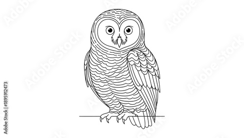The Regal Owl: A meticulously illustrated owl, perched elegantly, embodies wisdom and watchfulness through its detailed lines and intense gaze.