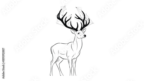 Majestic Deer's Crown: A regal deer, adorned with an expansive and intricate antler, stands with noble grace, its elegant form a testament to nature's artistry. 