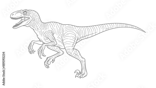 Velociraptor Illustration: A detailed black and white illustration of a Velociraptor dinosaur, showcasing its agile form and predatory features, ideal for educational and creative projects.