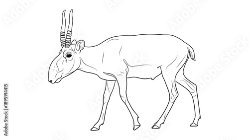 Saiga Antelope Sketch: A detailed line drawing of a saiga antelope, showcasing the animal's unique features, including its distinctive, oversized nose and slender build.