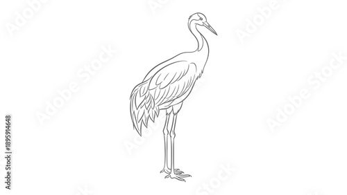 Elegant Crane Silhouette: A minimalist monochrome sketch of a tall crane, rendered with delicate lines that capture the bird's graceful posture and refined avian features.
