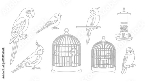 Bird Illustration: Collection of illustrated birds including parrot and birds in their cage. A blend of avian grace and domestic comfort.