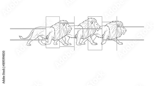 Lion's March: A striking minimalist linear drawing captures the powerful stride of a pride of lions, showcasing their regal forms in a rhythmic procession.