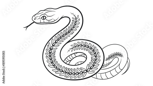 Coiled Snake Illustration: This illustration captures the intricate beauty of a snake with detailed skeletal structure, ready to slither into your imagination. 