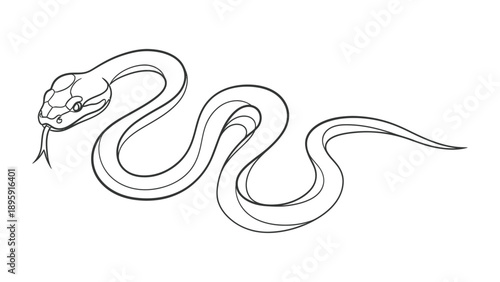 Serpentine Silhouette: An elegant line drawing of a snake, showcasing its sinuous form and the intricate detail of its scales and features.