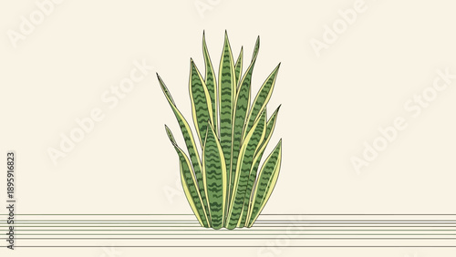 Illustration of a snake plant with striped leaves on a light background.