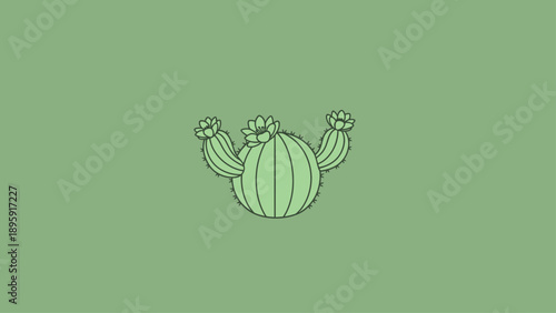 Minimalist illustration of a flowering cactus on a green background.