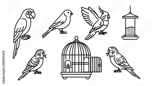 Birds Collection: A captivating black and white line art illustration featuring diverse birds, alongside essential elements like birdcages and feeders.