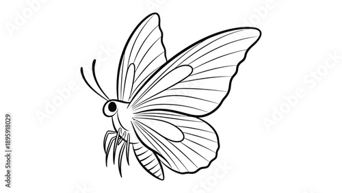 Butterfy in Flight: A delicate butterfly, outlined in elegant strokes, is captured in mid-flight, showcasing the intricate details of its wings and graceful movement.