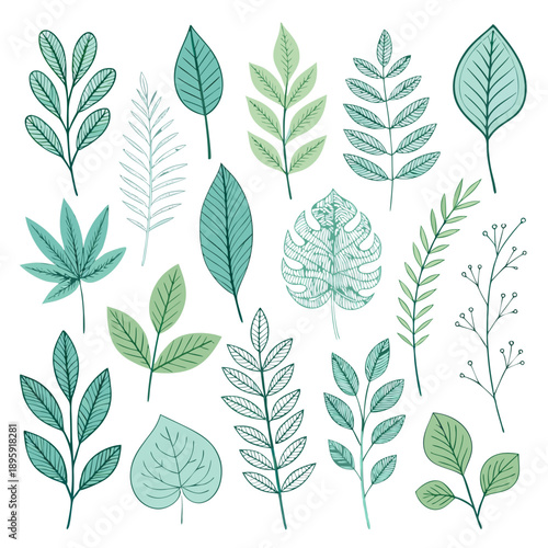 Collection of assorted leaves and foliage in various shades of green, presented in a visually appealing arrangement, illustrations