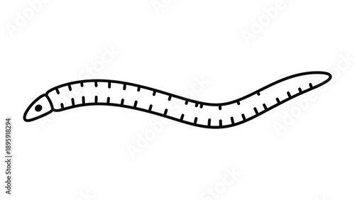 Earthworm Illustration: A simple yet detailed illustration of an earthworm, showcasing its segmented body and basic features. 