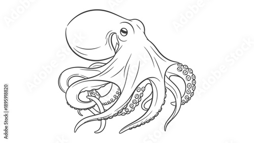 Octopus Line Art: A detailed line drawing of an octopus, showcasing its intricate form and graceful curves. Ideal for illustrating marine life.